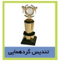 نمونه تندیس های گردهمایی
