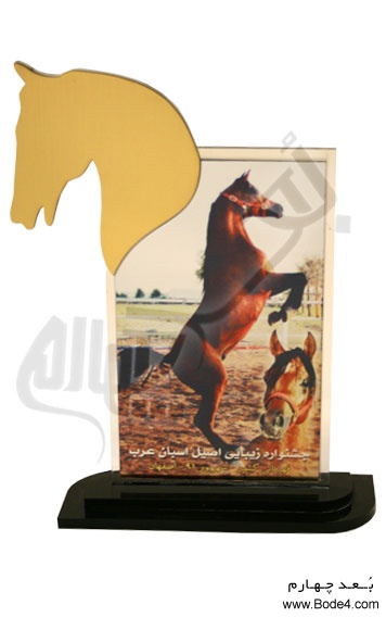 tandise_jashnvareye_zibayi_asile_asbane_arab
